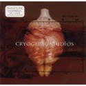 Front Line Assembly - Cryogenic Studios