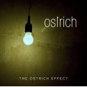 Ostrich - The Ostrich Effect